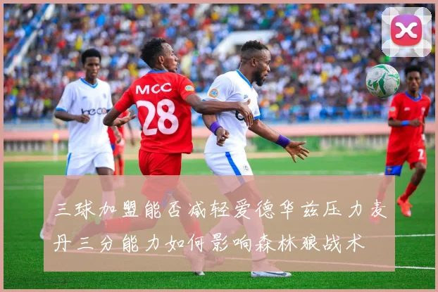 三球加盟能否减轻爱德华兹压力麦丹三分能力如何影响森林狼战术